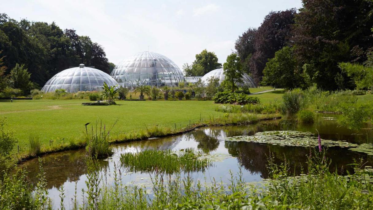 Botanical Garden, Zurich