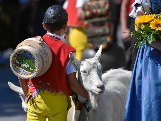 Eidgenössisches Trachtenfest