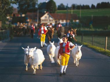 Typical Switzerland – Appenzell