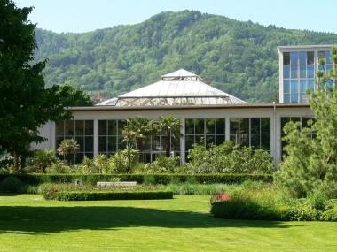 Zurich City Gardens