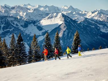 Schneeschuhwandern Rigi